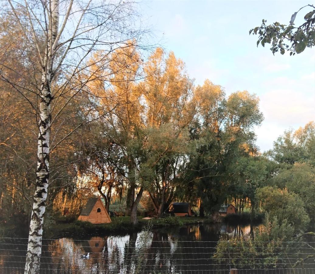 Hotel "George'S" Lakeside Wooden Tipi Clare Esterno foto